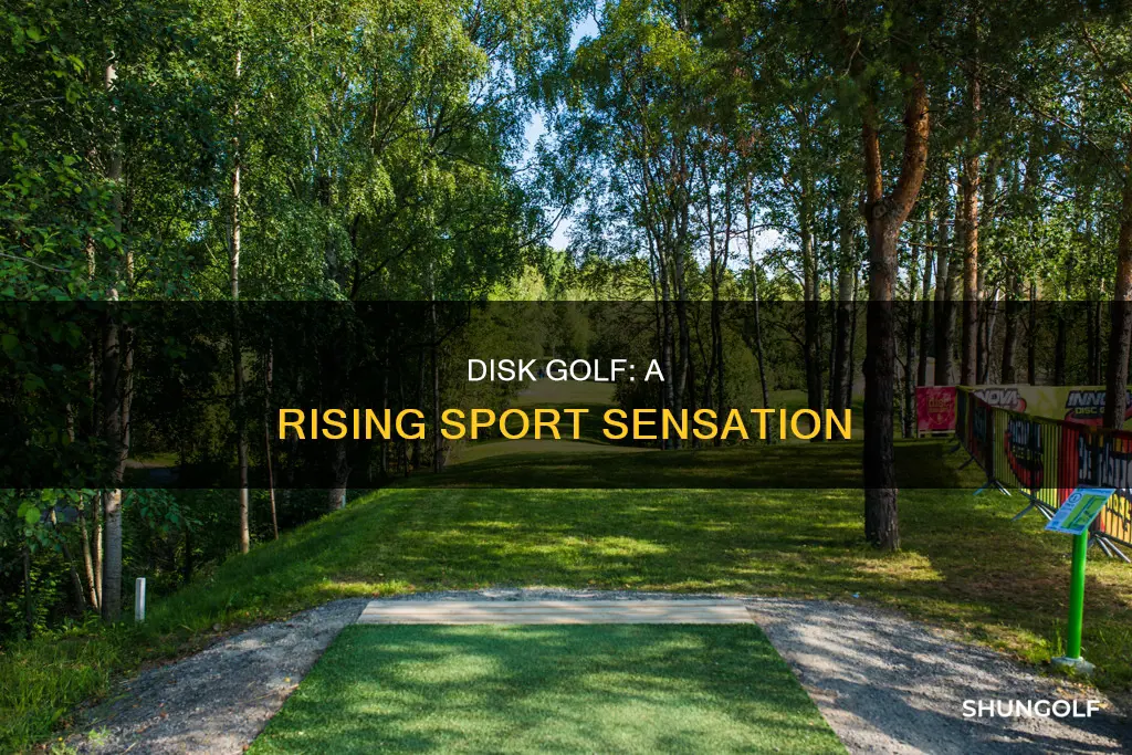 how popular is disk golf