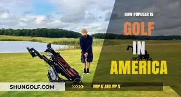 Golf's Popularity in America: A Sport's Standing
