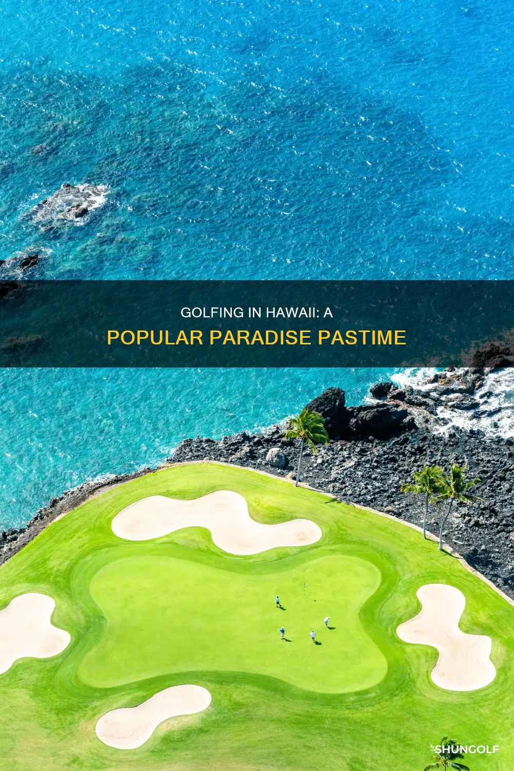 how popular is golf in hawaii
