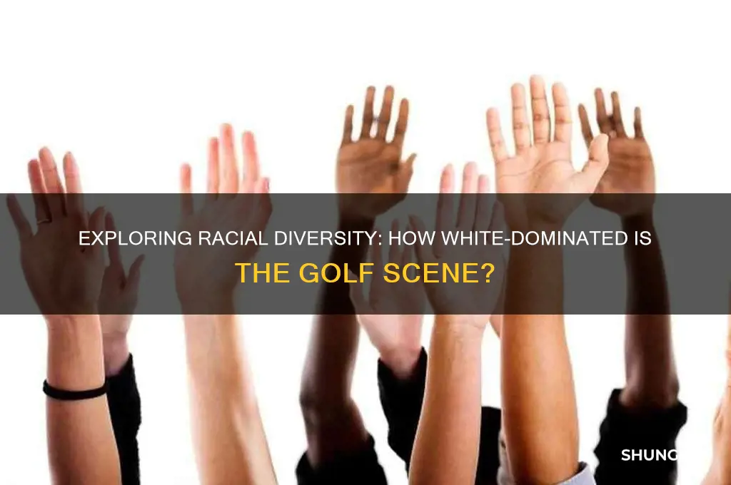 how predominatley white is the golf scene