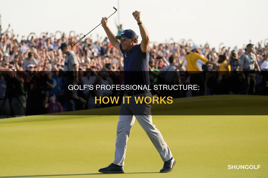 how professional golf is structured