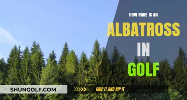 Albatross in Golf: Unveiling the Rarity of This Extraordinary Feat