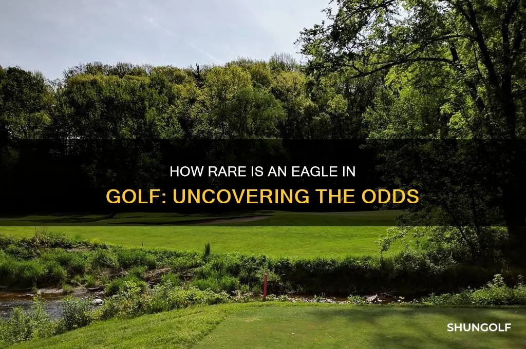 how rare is an eagle in golf