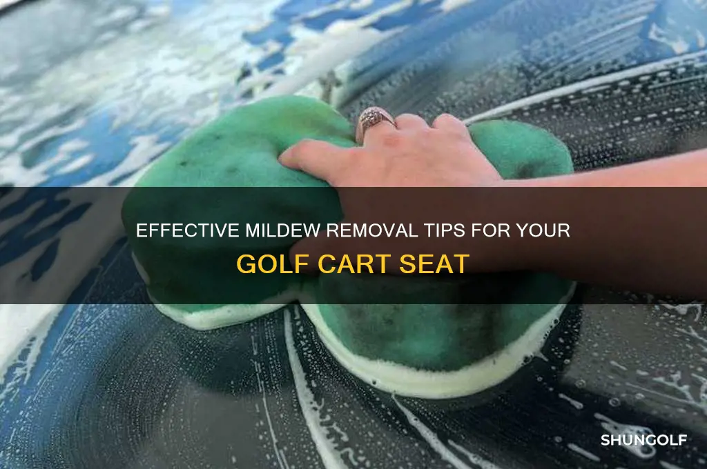 how remove mildew golf cart seat