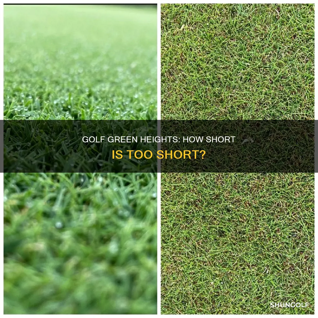 how short are golf greens cut