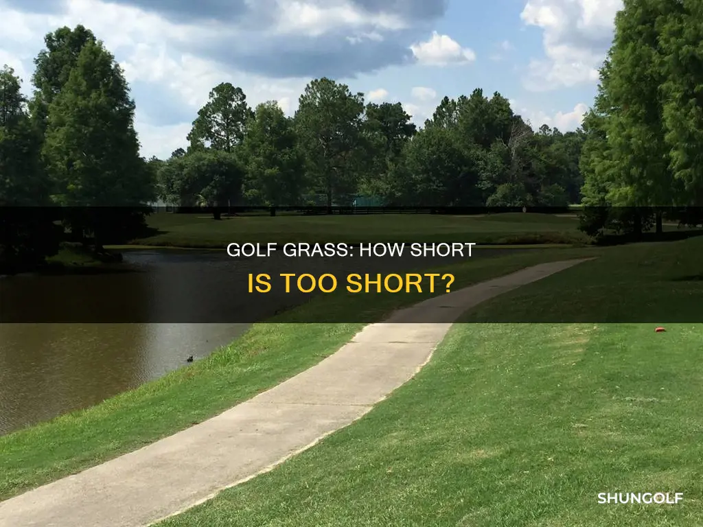 how short is golf grass