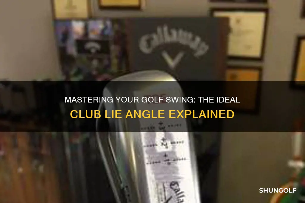 how should a golf club lie on the ground