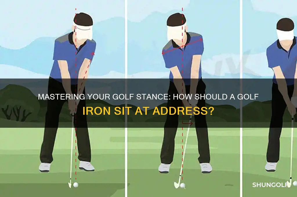 how should a golf iron sit at address