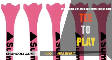 Choosing the Right Golf Tee: A Player's Guide to Optimal Play