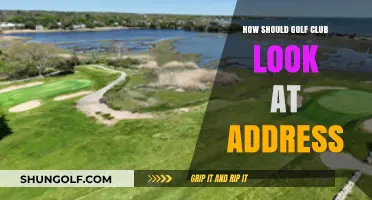 Perfect Golf Setup: How Your Club Should Look at Address