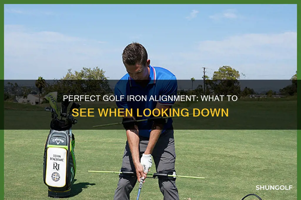 how should golf iron look when looking down