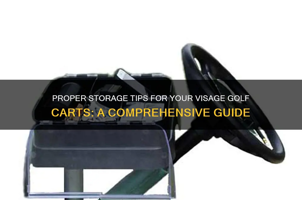 how should i store our visage golf carts