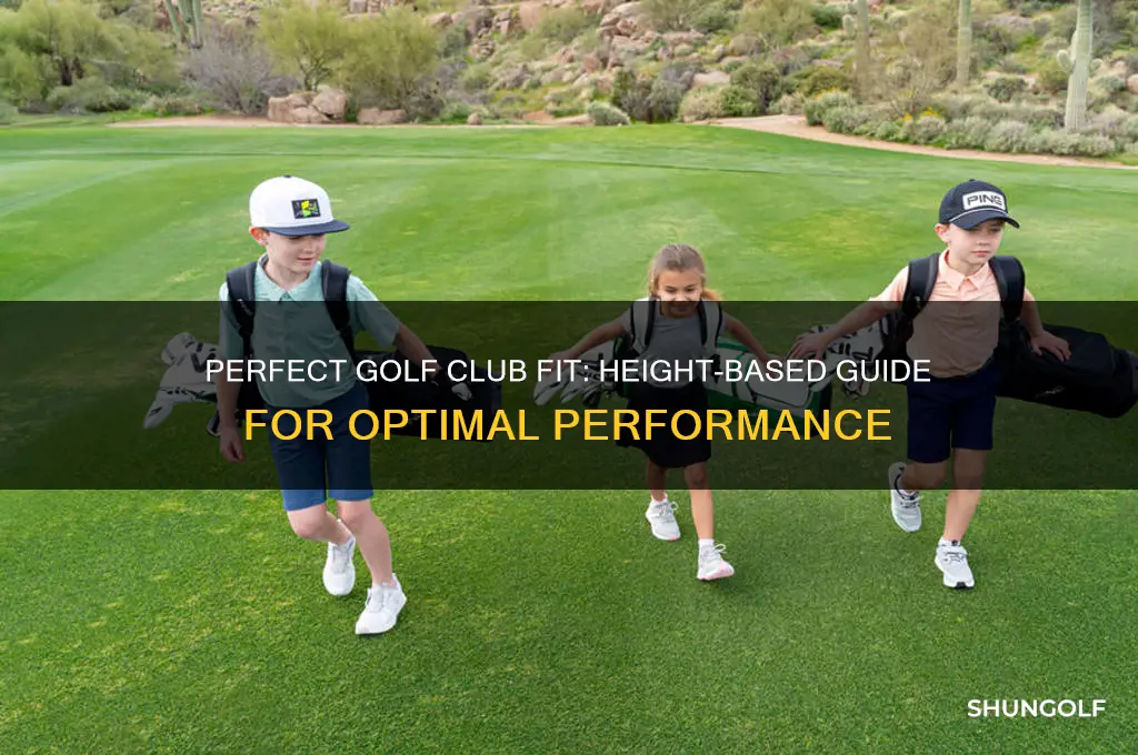 how should my golf clubs fit my height