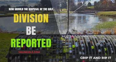 Reporting the Golf Division Disposal: Best Practices and Compliance Tips