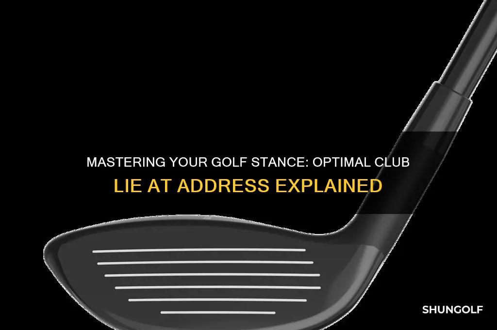 how should the golf club lie at address