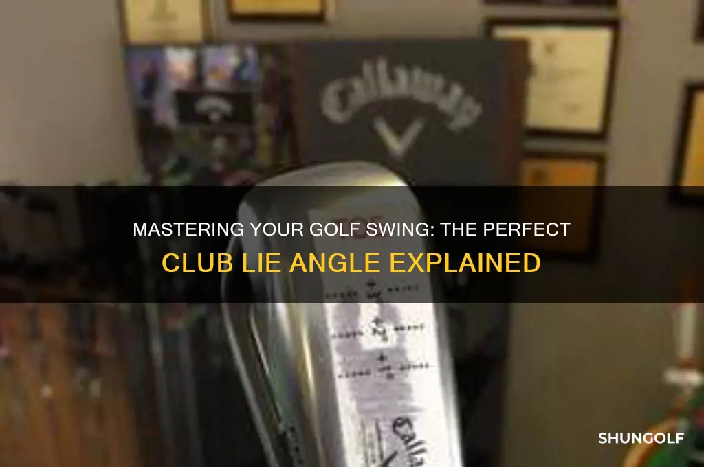 how should your golf club lie