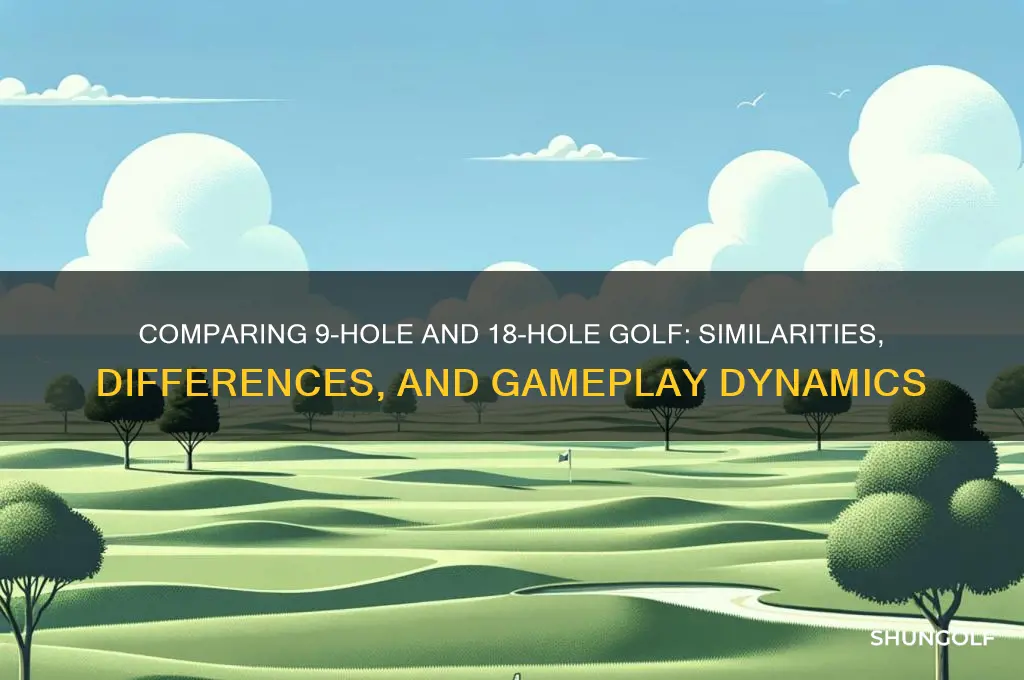 how similar is 9 hole to 18 hole golf