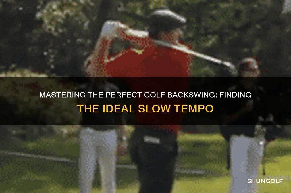 how slow should the backswing in golf be