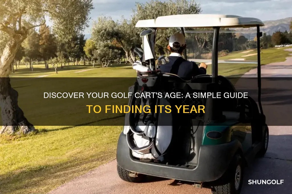 how so i find how old my golf cart is
