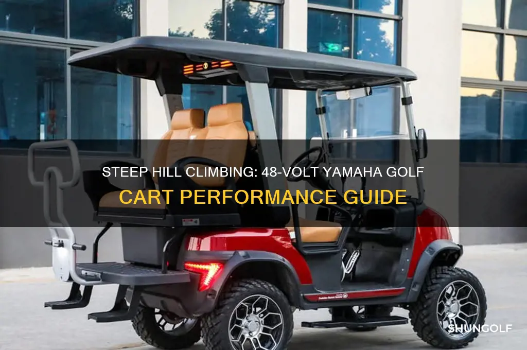how steep hills will 48 volt yamaha golf cart go