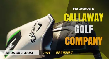 Callaway Golf Company: A Success Story