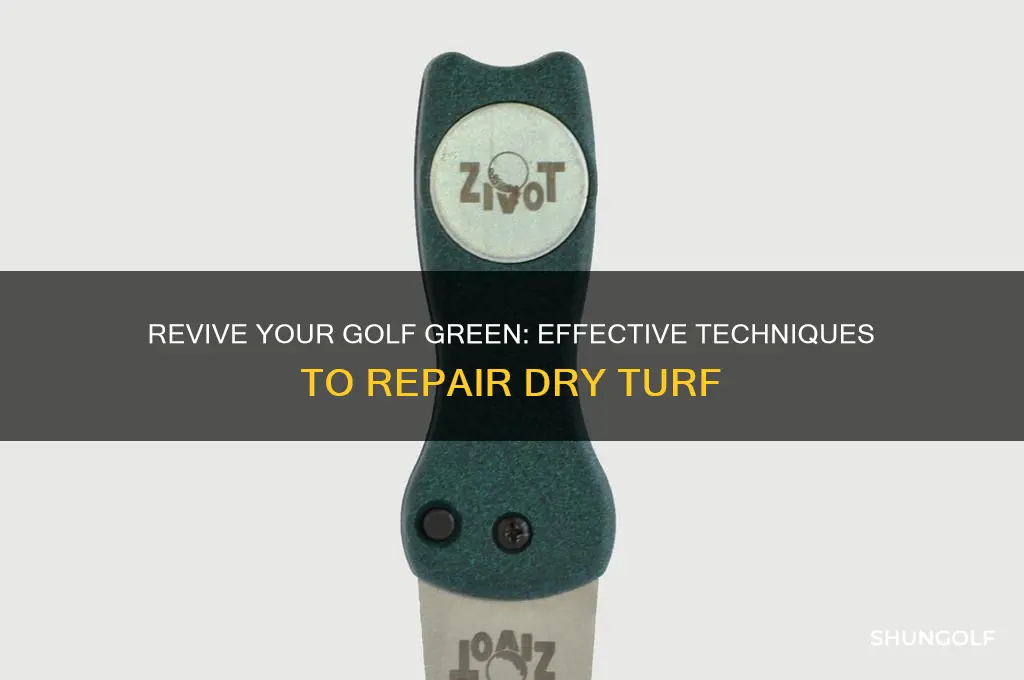how t repair a dry golf green