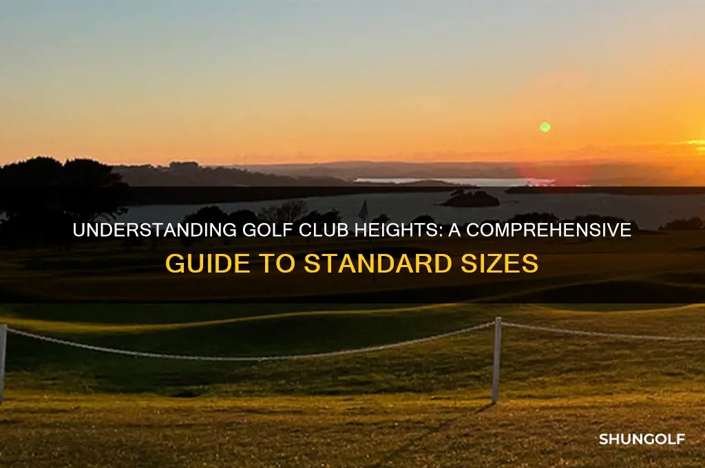 how tall are golf clubs