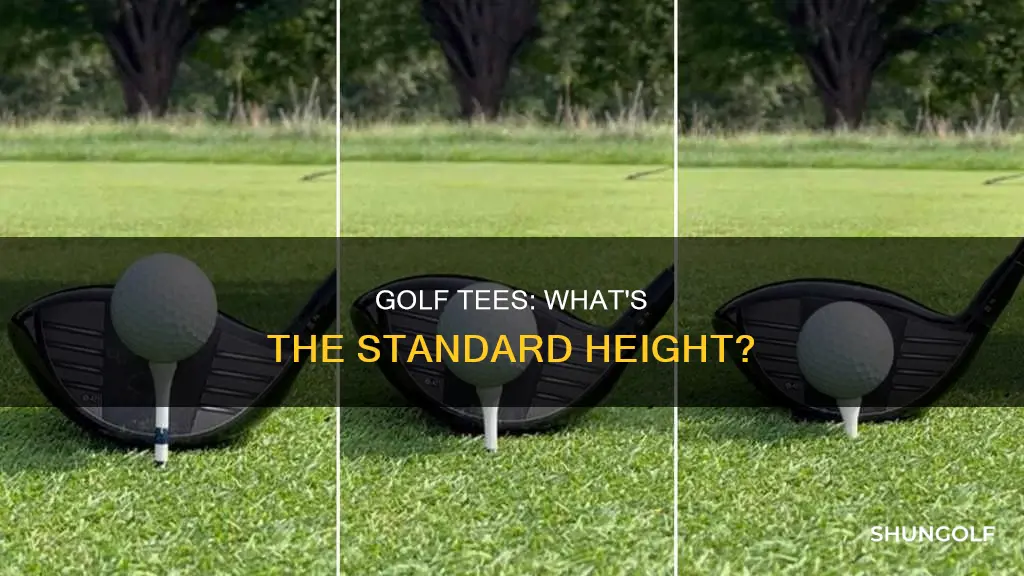 how tall are golf tees