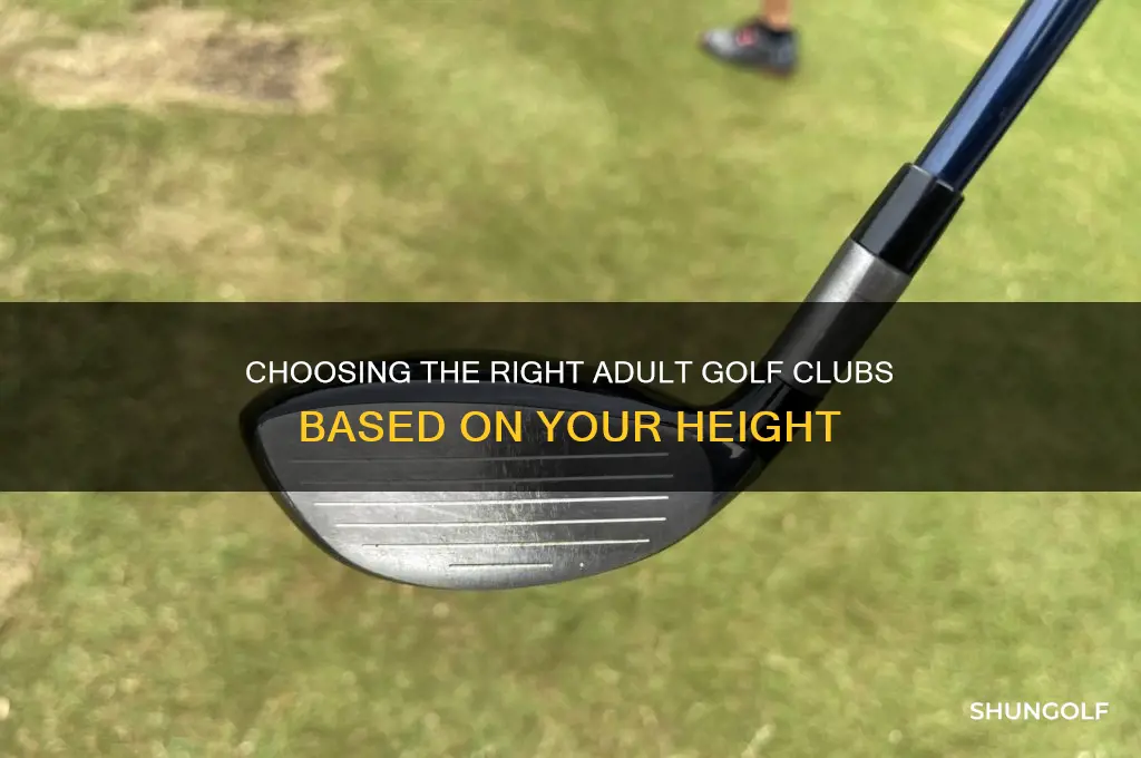 how tall for adult golf clubs