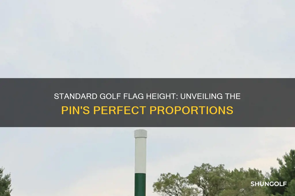 how tall is a standard golf flag