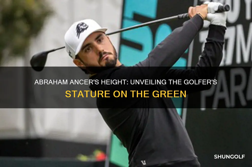 how tall is abraham ancer the golfer