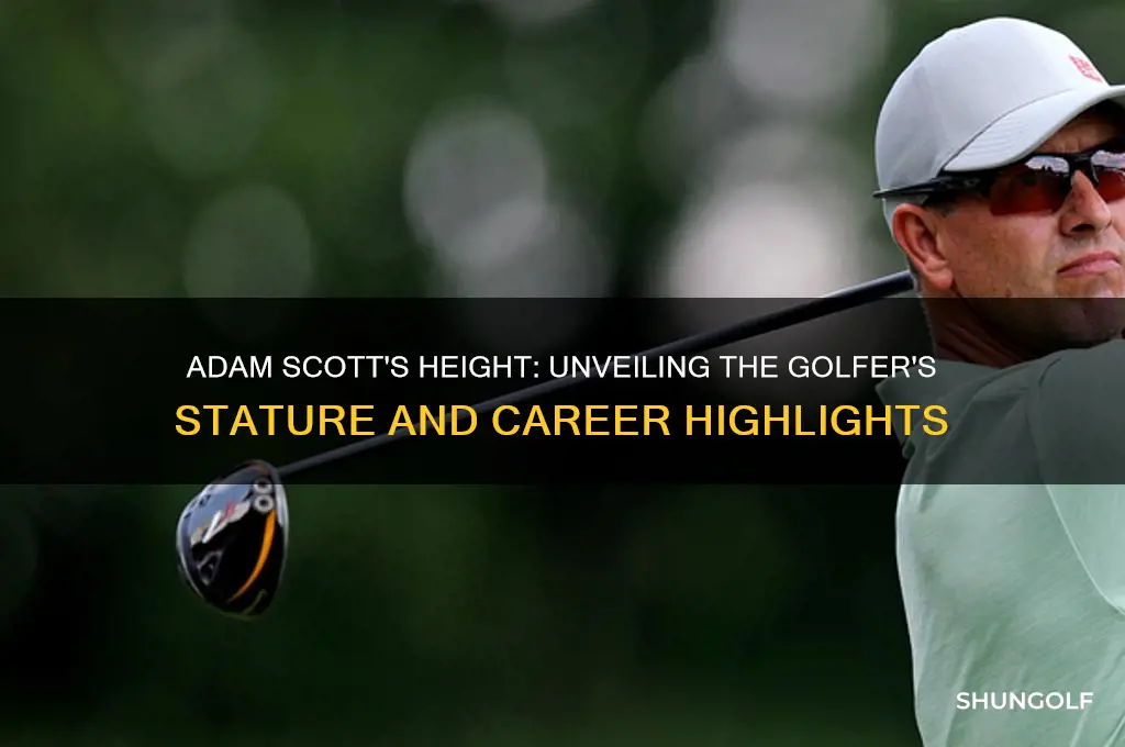 how tall is adam scott the golfer