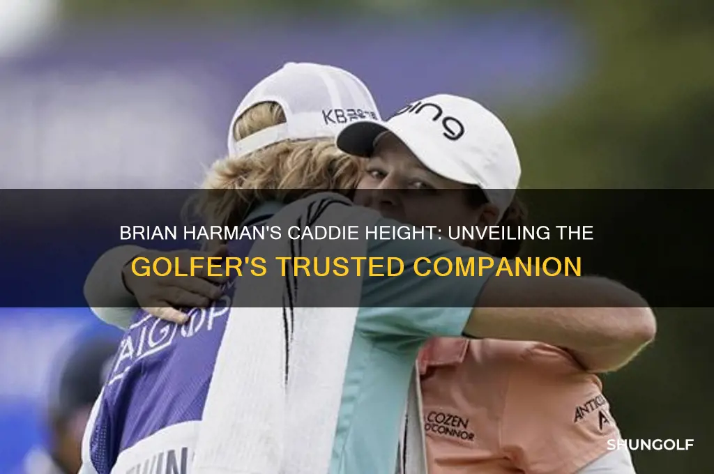 how tall is brian harman golfer caddie