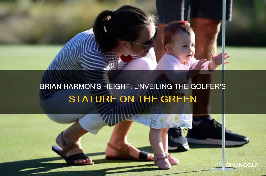 how tall is brian harmon the golfer