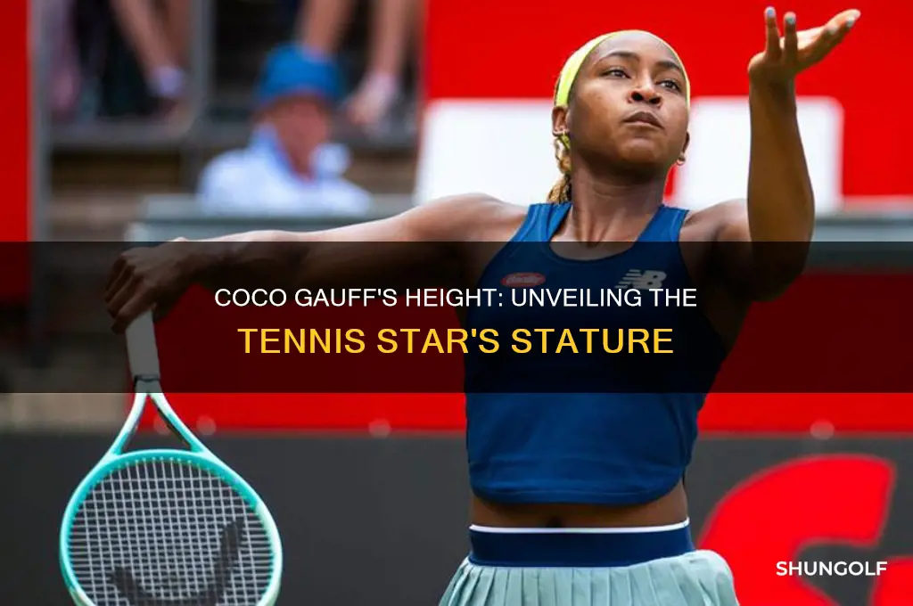 how tall is coco golf tennis player
