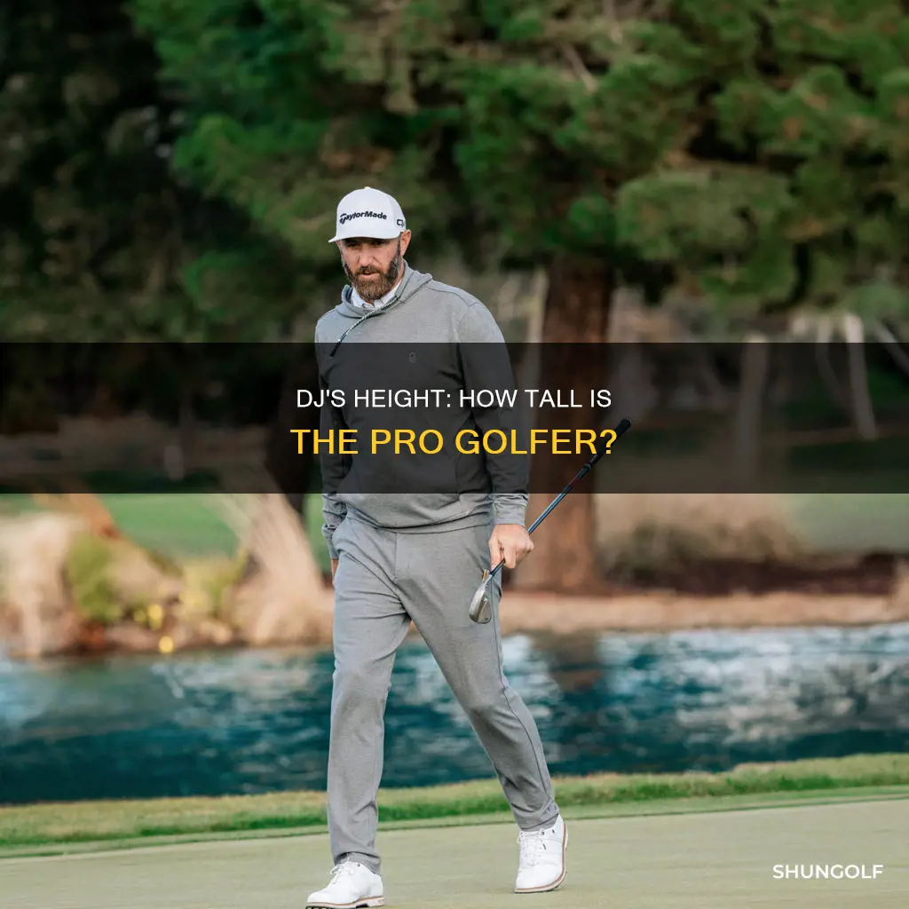 how tall is dj the golfer
