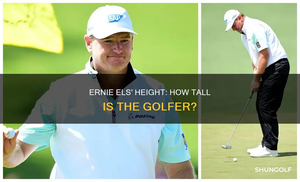 how tall is ernie wealth golfer