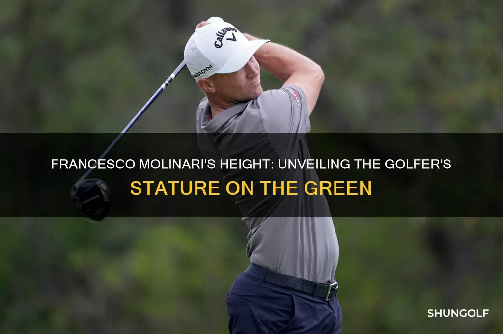 how tall is francesco molinari the golfer