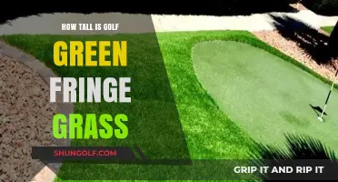 Understanding Golf Green Fringe Grass Height: A Comprehensive Guide
