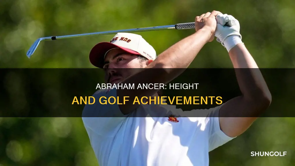 how tall is golfer abraham ancer