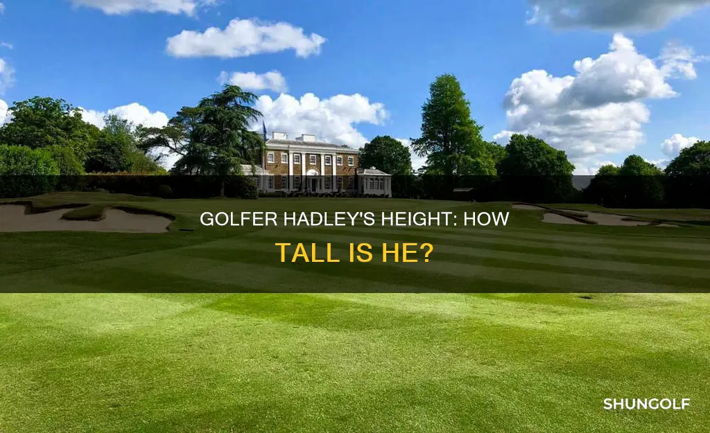 how tall is golfer hadley