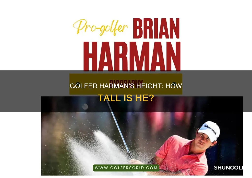 how tall is golfer harman