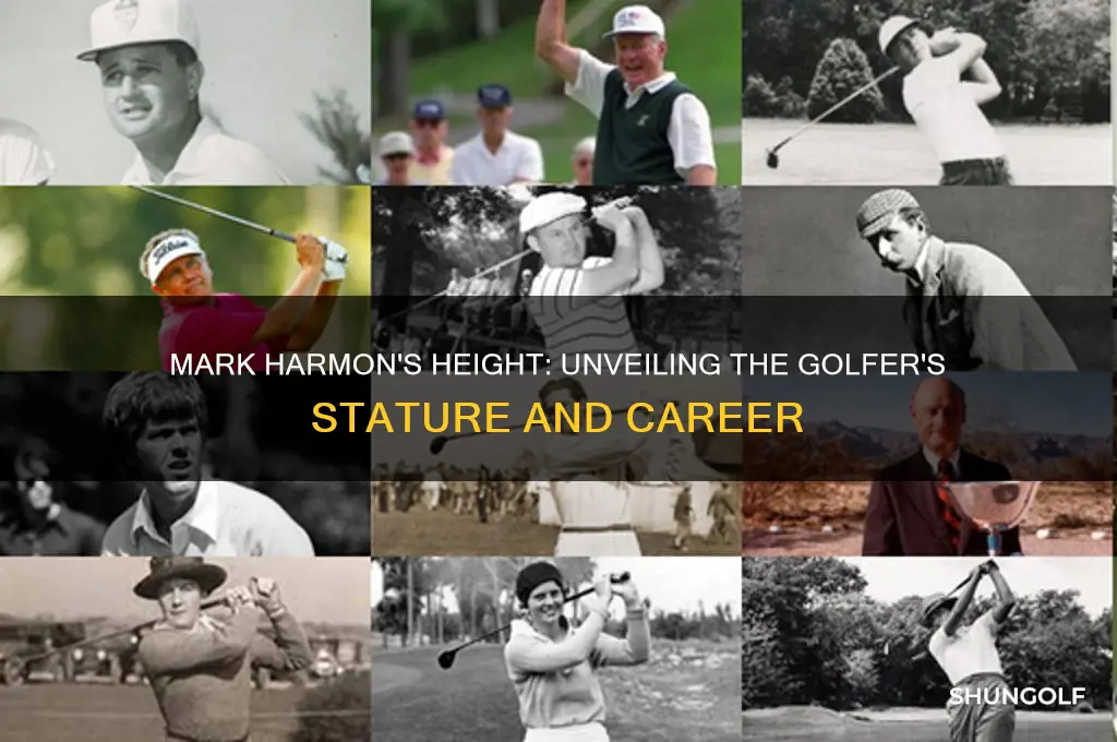 how tall is mark harmon the golfer