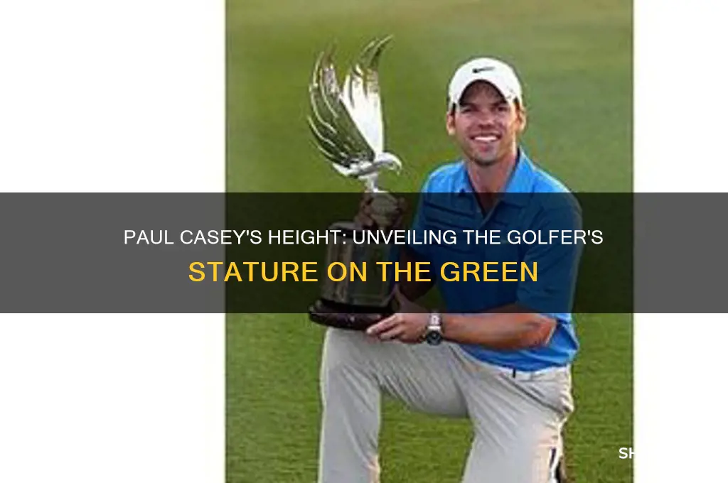 how tall is paul casey the golfer