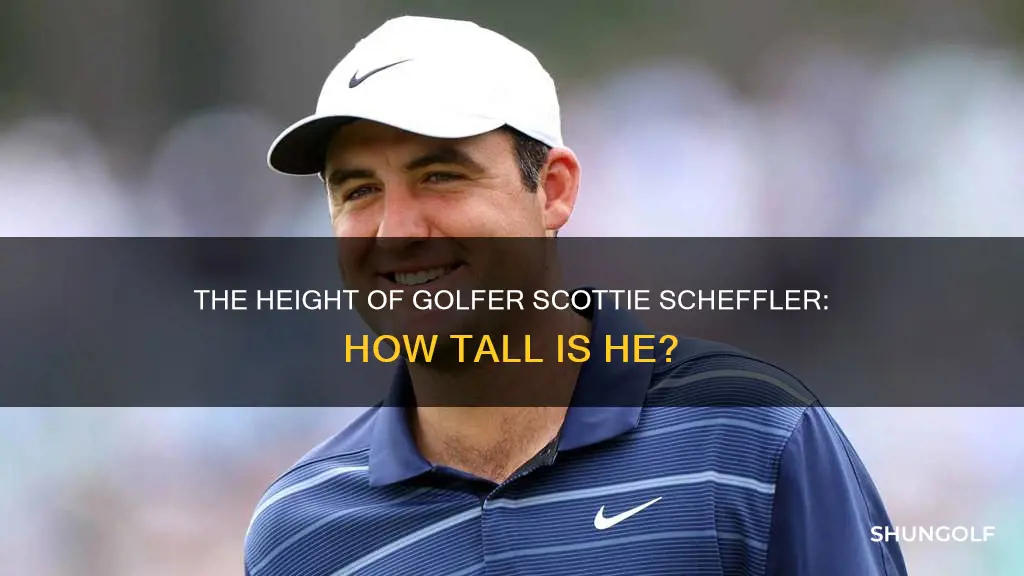 how tall is scottie scheffler golfer