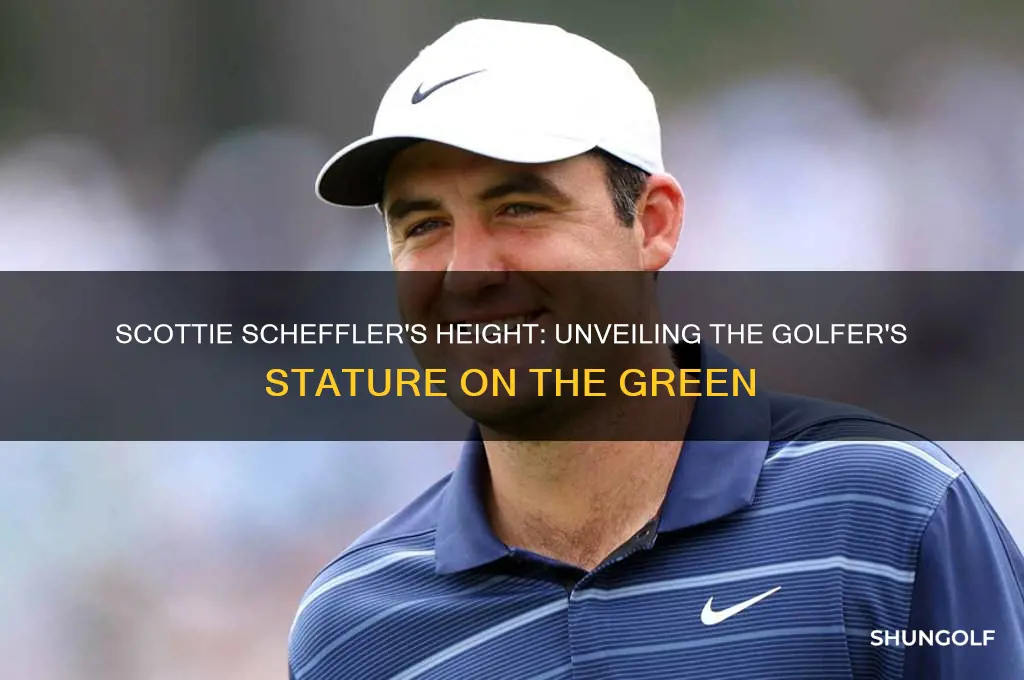 how tall is scottie scheffler the golfer