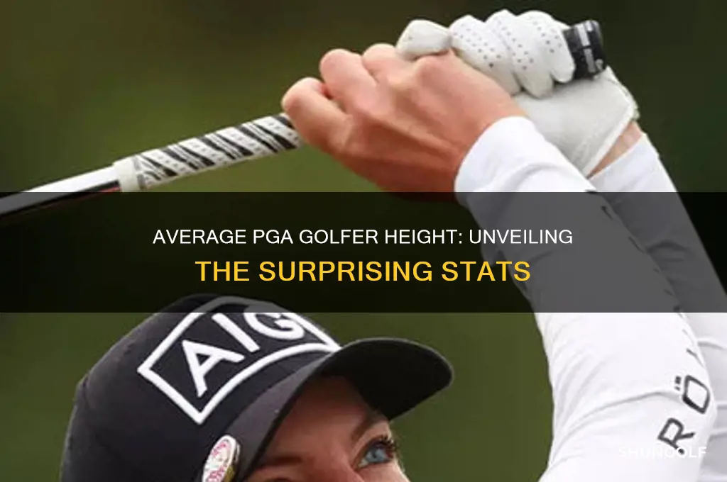 how tall is the average pga golfer