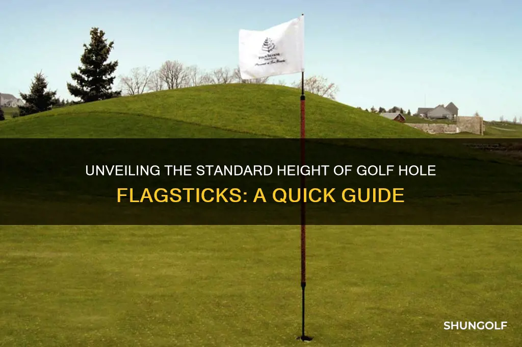 how tall is the pole put in the golf hole