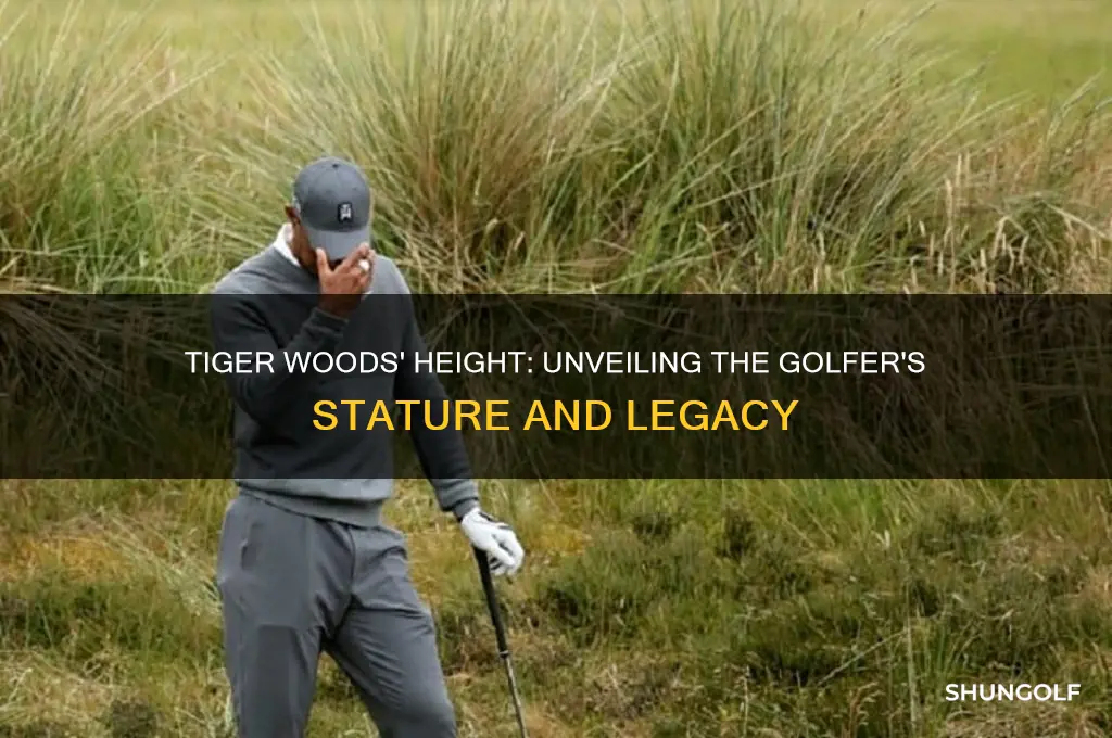 how tall is tiger woods the golfer