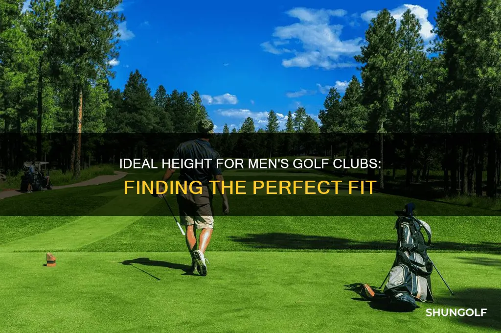 how tall need to be to play mens golf clubs